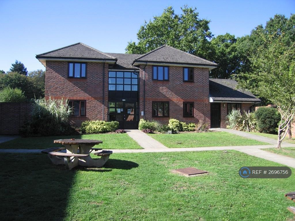 Ymca Garden Area