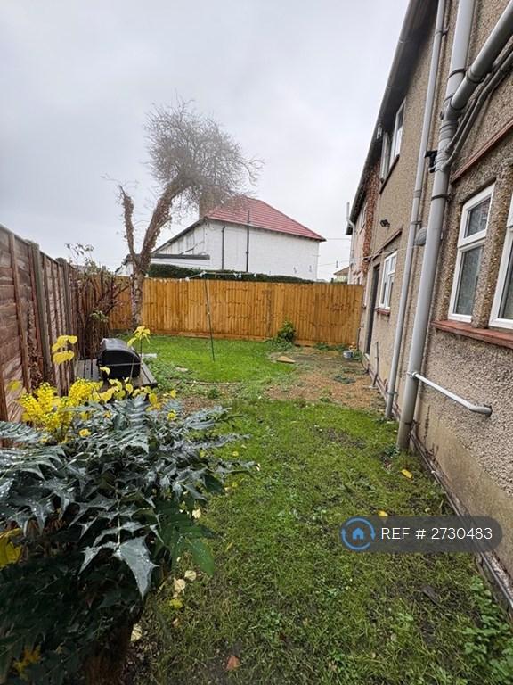 Back Garden