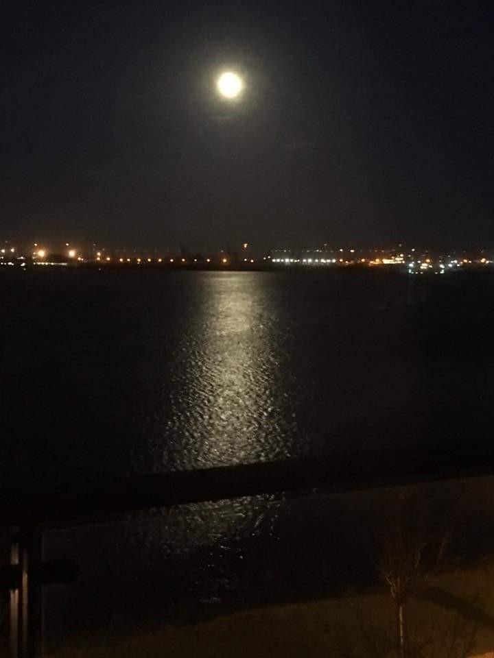 Night View 2.jpg