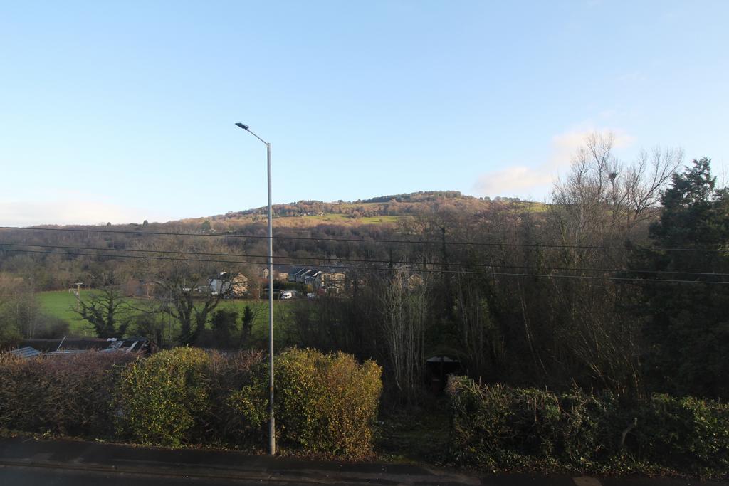 Img 7187.jpg