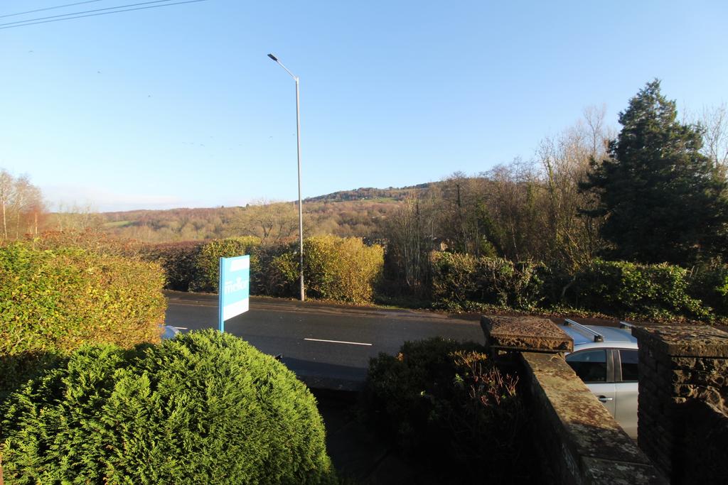 Img 7158.jpg