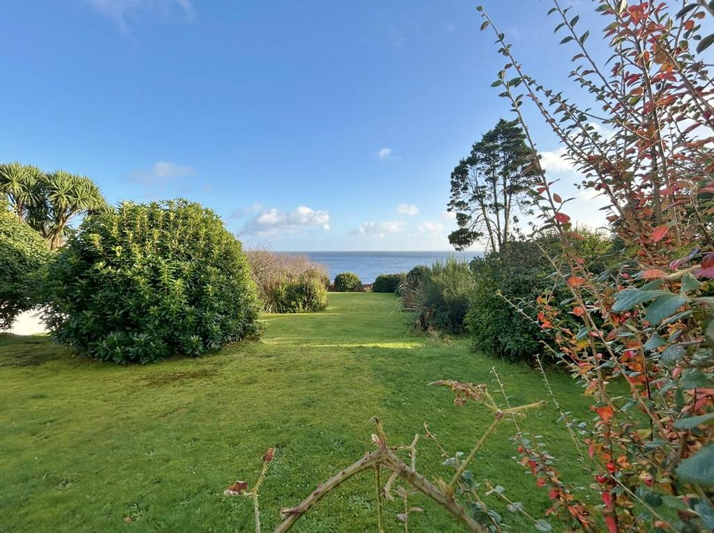 Garden and view