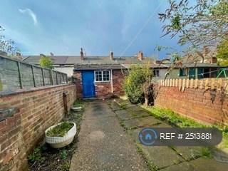 Rear Courtyard Garden