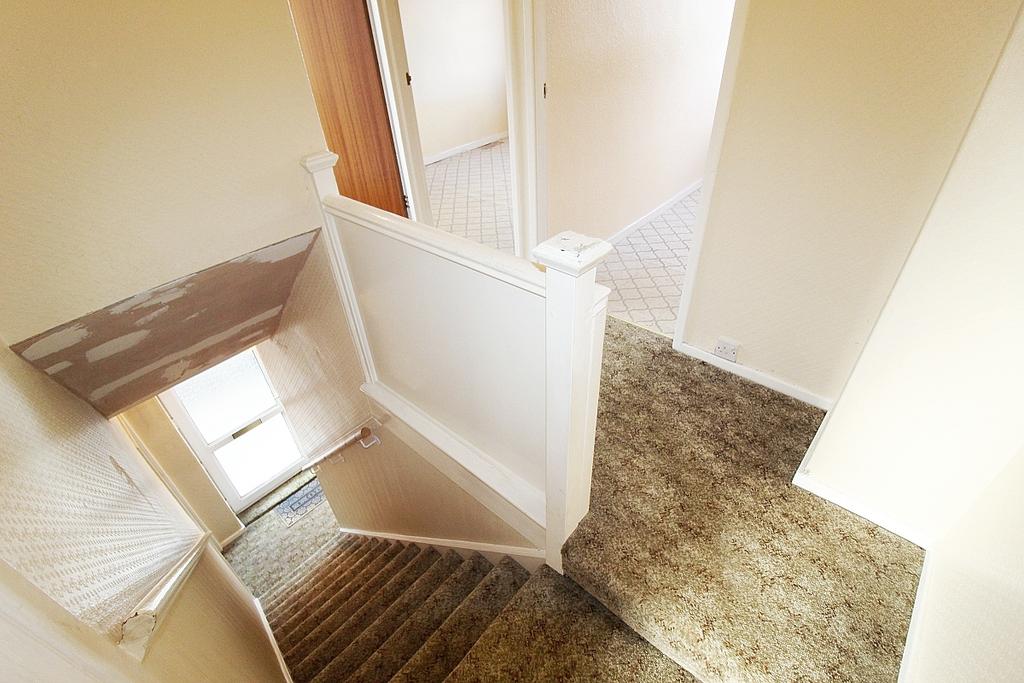 IMG 9481 In Pixio T202512201214.jpg
