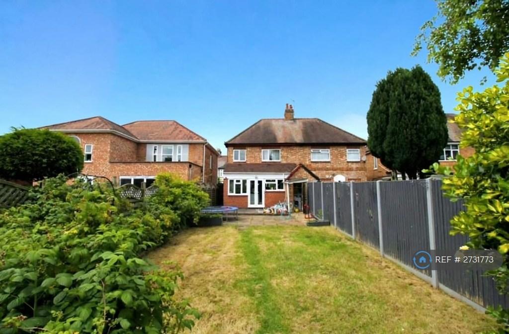 Back Garden