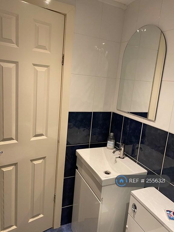 Basement Bathroom