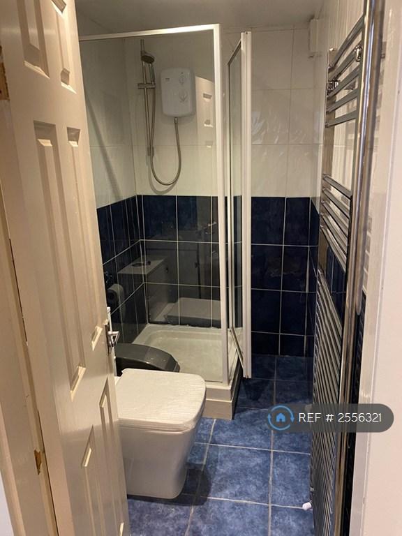 Basement Bathroom
