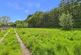 Additional image 34 of Brandis Corner, Holsworthy, Devon