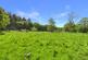 Additional image 36 of Brandis Corner, Holsworthy, Devon