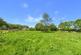 Additional image 37 of Brandis Corner, Holsworthy, Devon