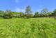 Additional image 38 of Brandis Corner, Holsworthy, Devon