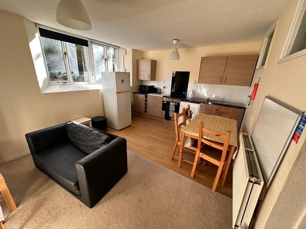 Bright open-plan living space with a compact lo...