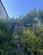 Additional image 12 of Crow Hill, Broadstairs