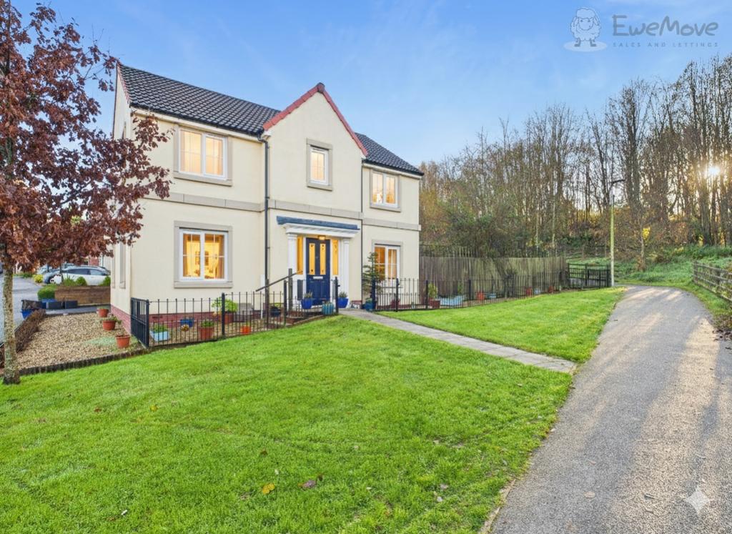 Ewemove south molton front