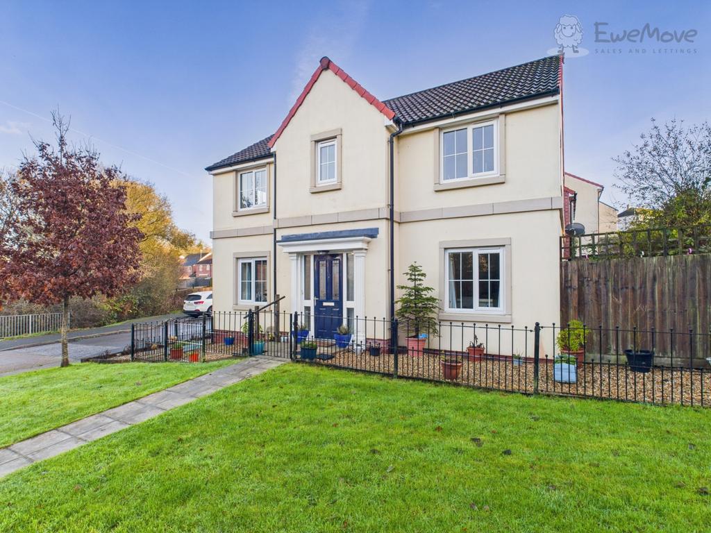 Ewemove south molton front