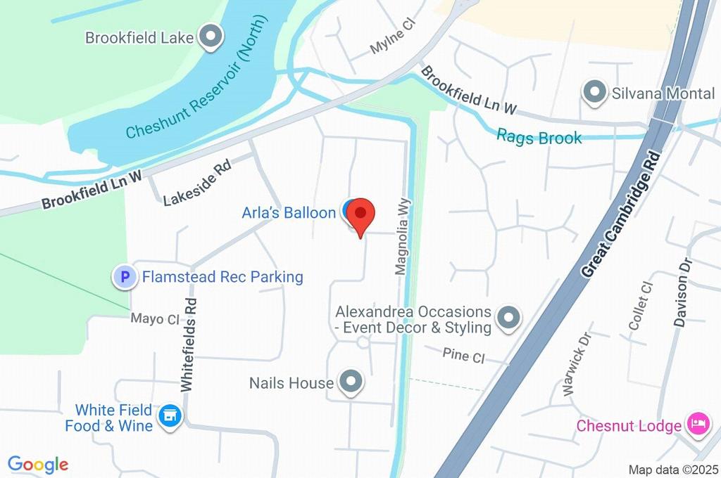 Google Maps Image