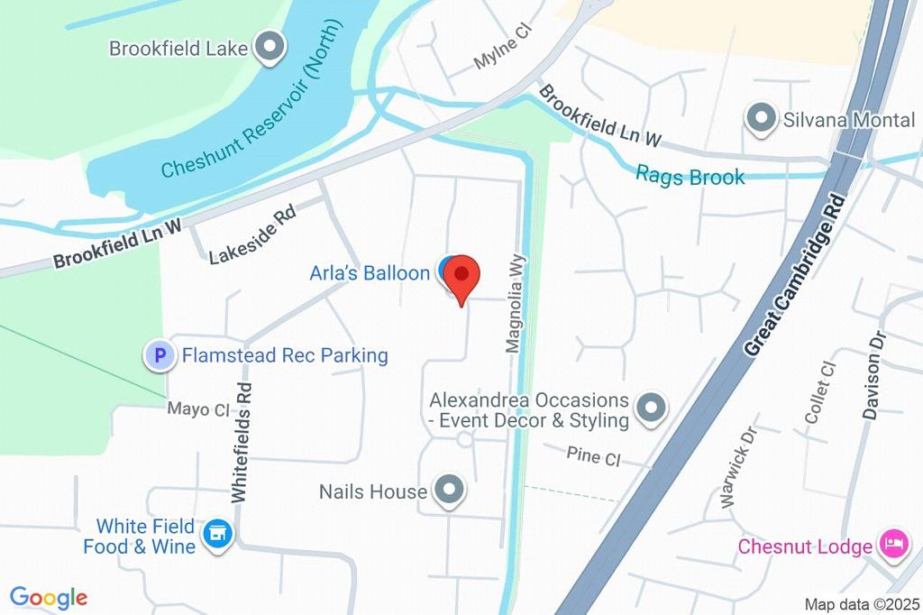 Google Maps Image