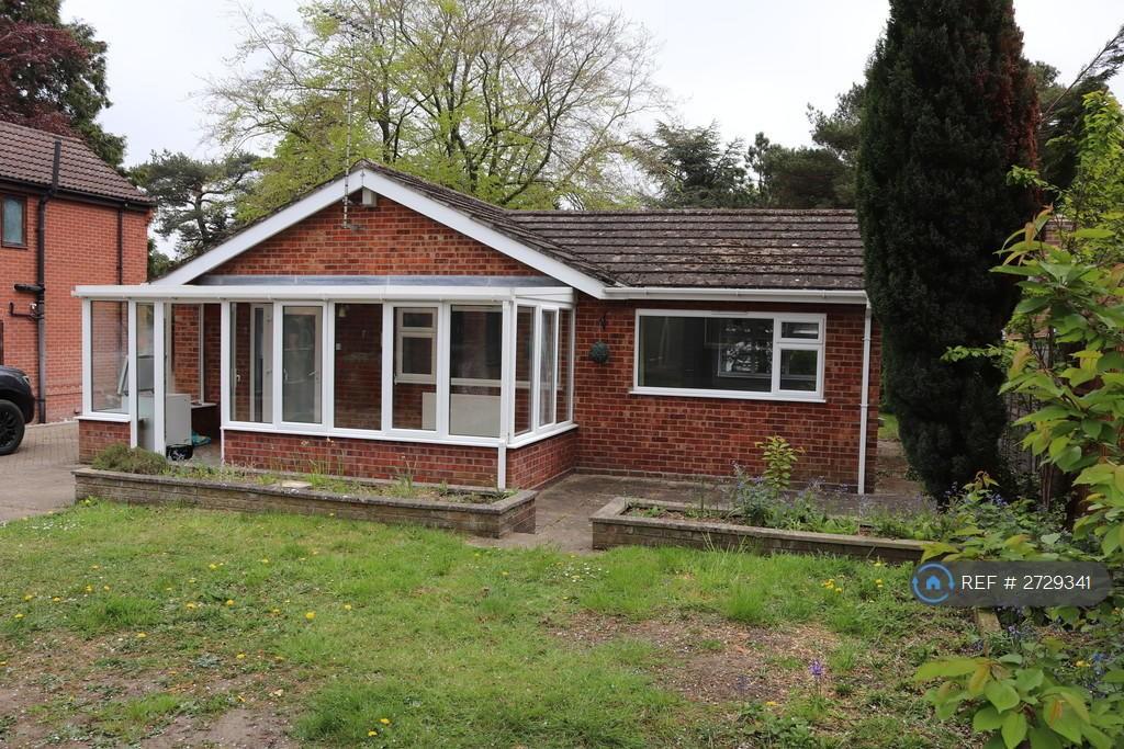 Back Garden