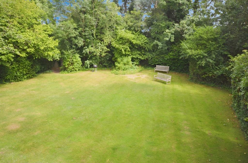 A5154927-garden