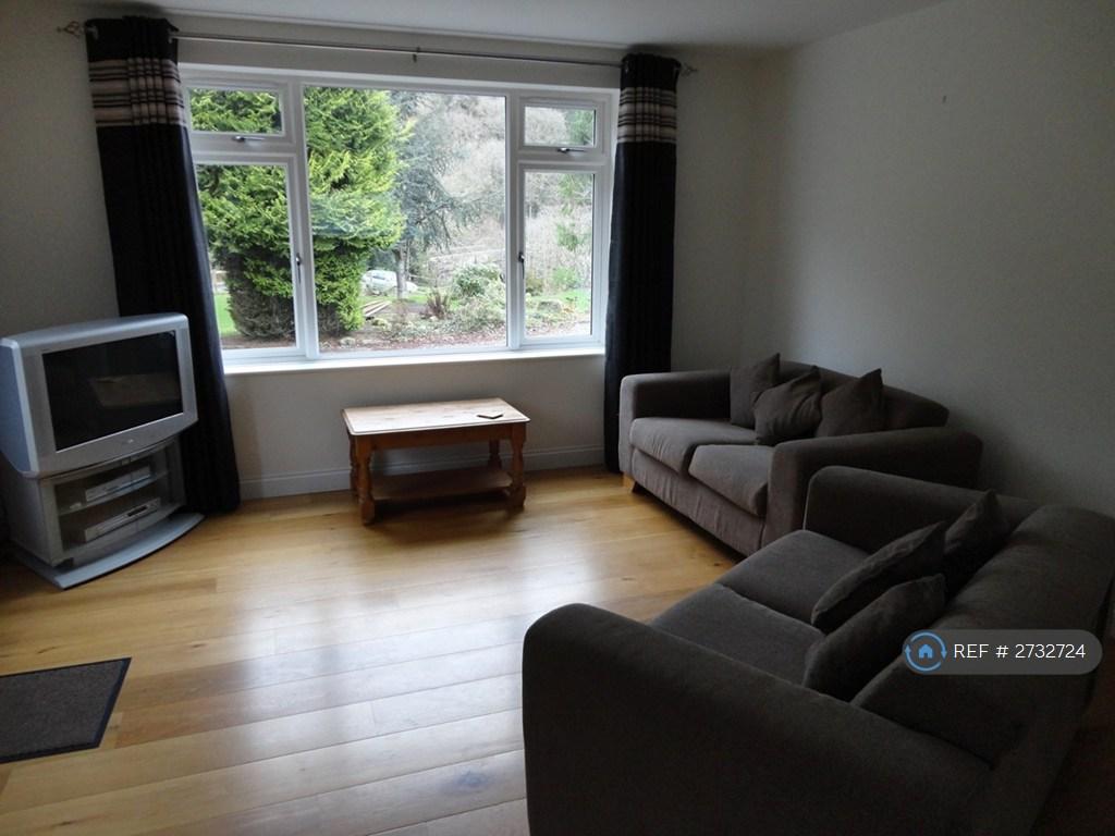 Lounge (Furniture Not Inc)