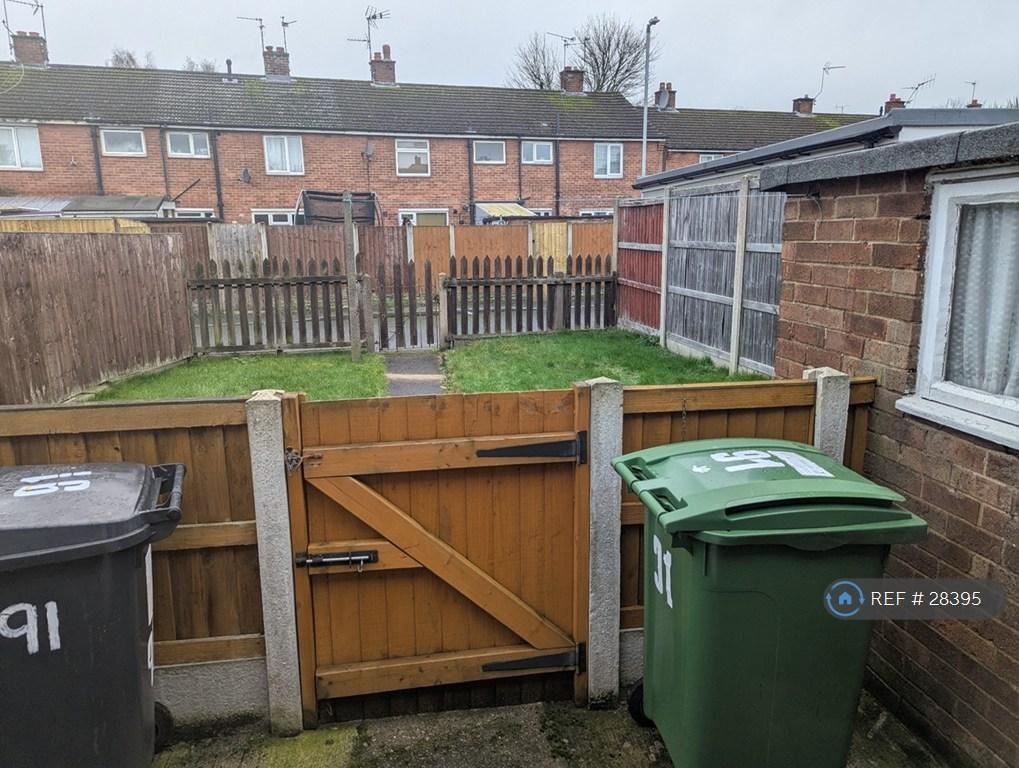 Back Garden