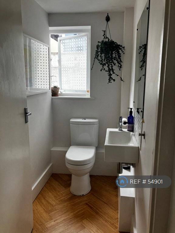 Downstairs Loo