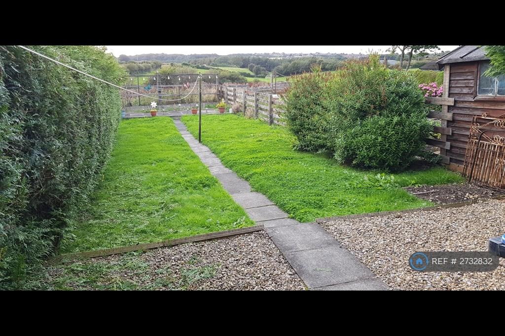 Back Garden