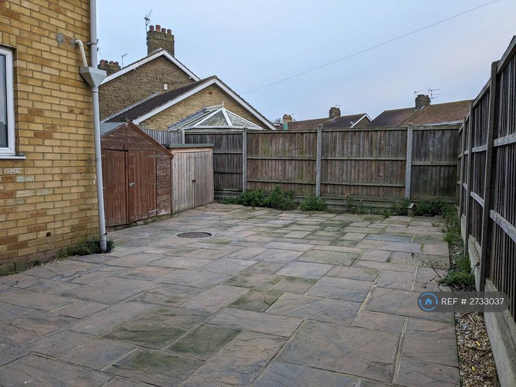 Low Maintenance Garden 2