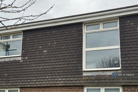 undefined, Ryhope Leechmere, Sunderland, SR2