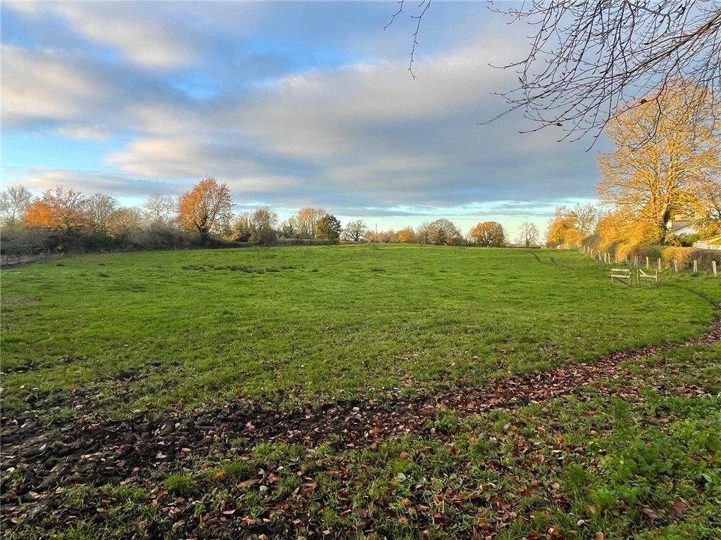 View North