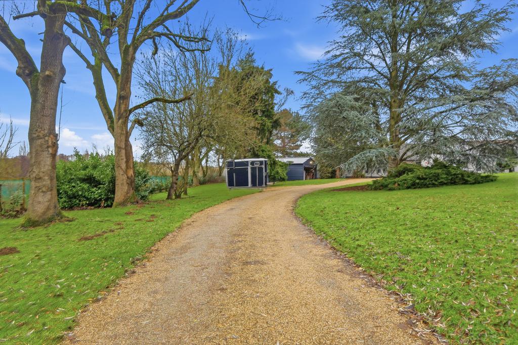 Driveway