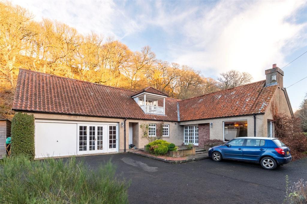 Frizzels Wood 29