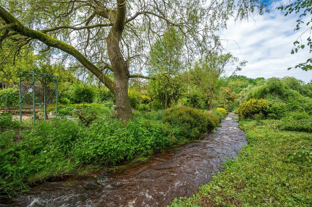 Frizzels Wood 21