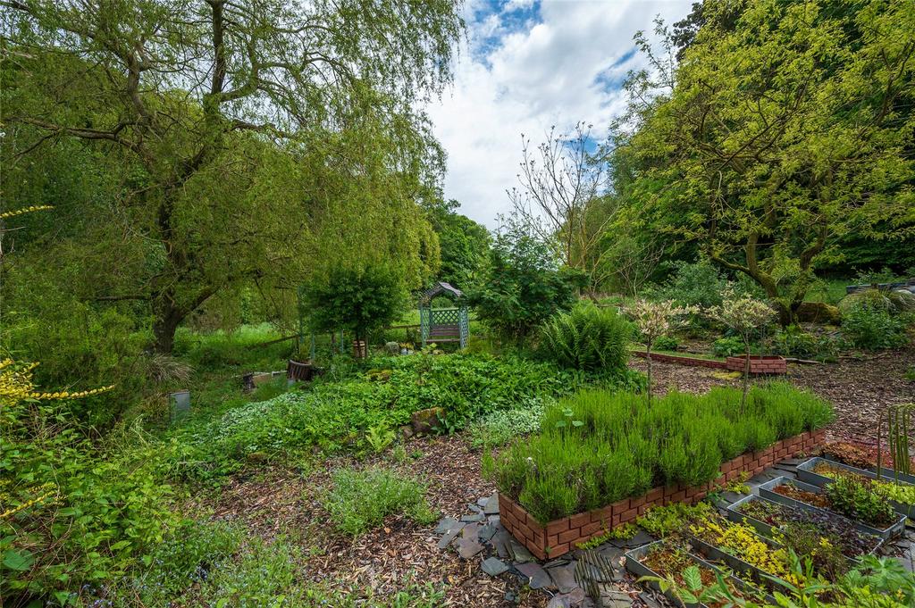 Frizzels Wood 19