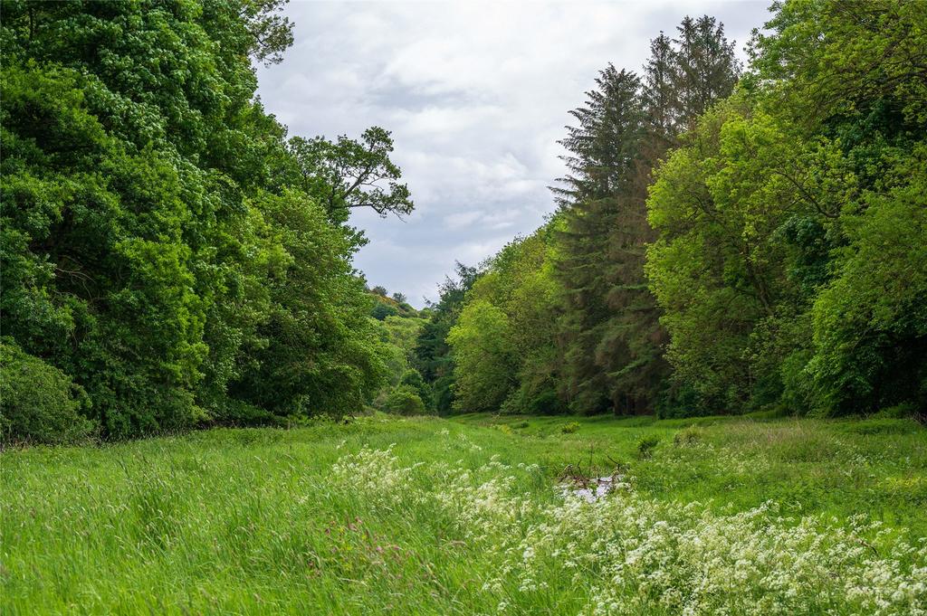 Frizzels Wood 22