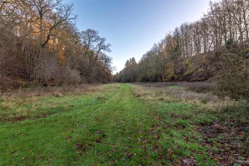 Frizzels Wood 33