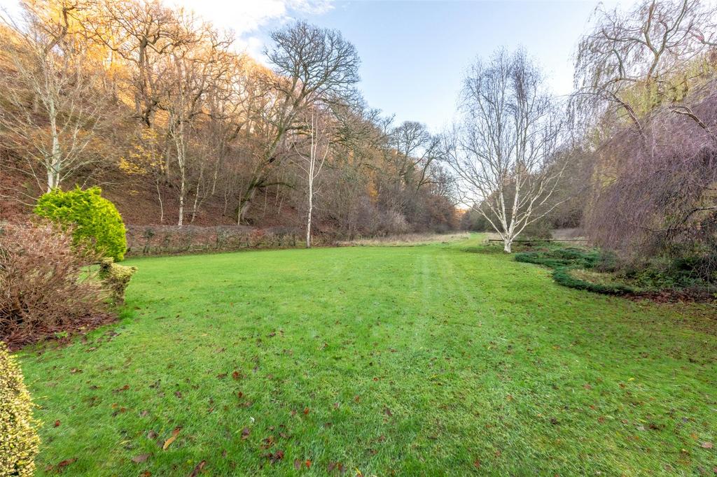Frizzels Wood 31