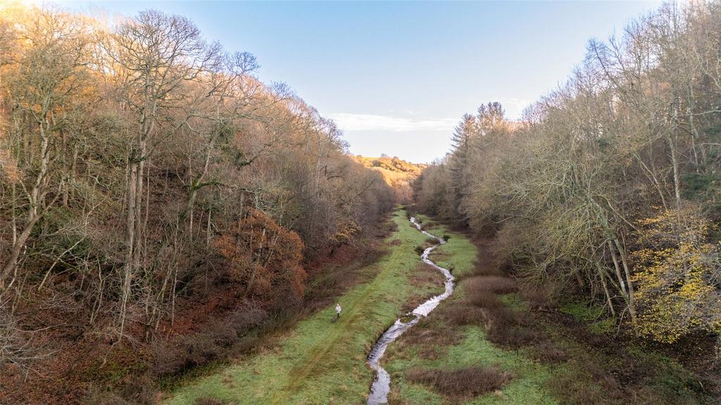 Frizzels Wood 34
