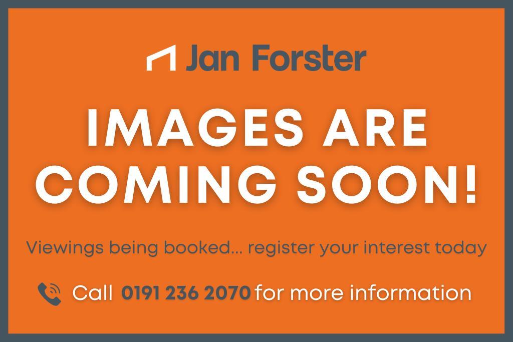 Images Coming Soon