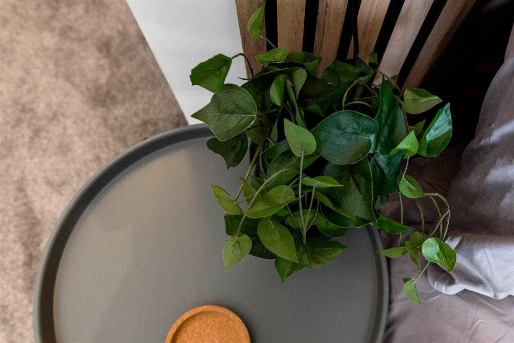 47uttoexeternr-305.jpg