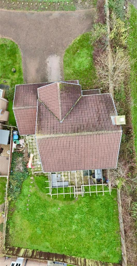 Birdseye Plot View
