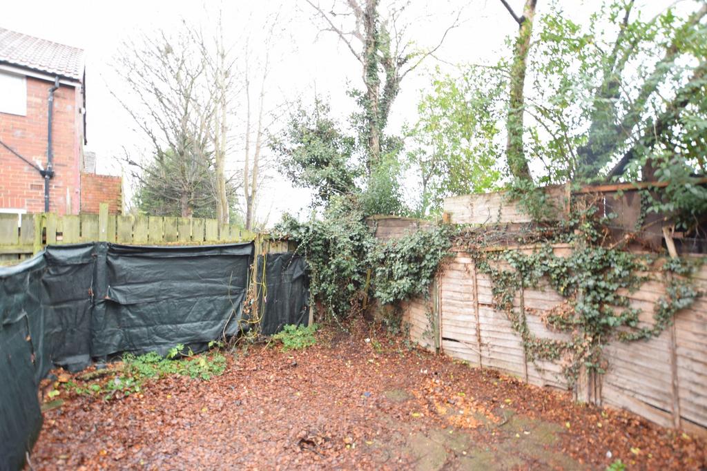 Rear Yard