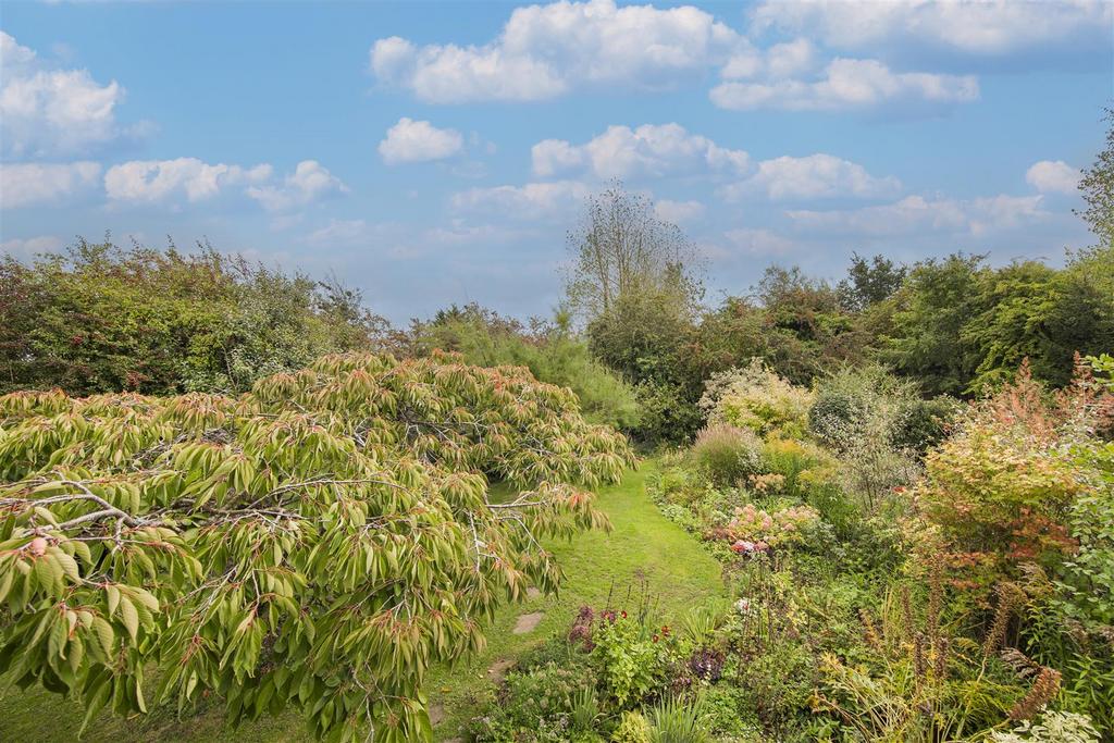 View from Bedroom