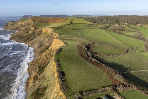 undefined, Downhouse Farm, Bridport, DT6