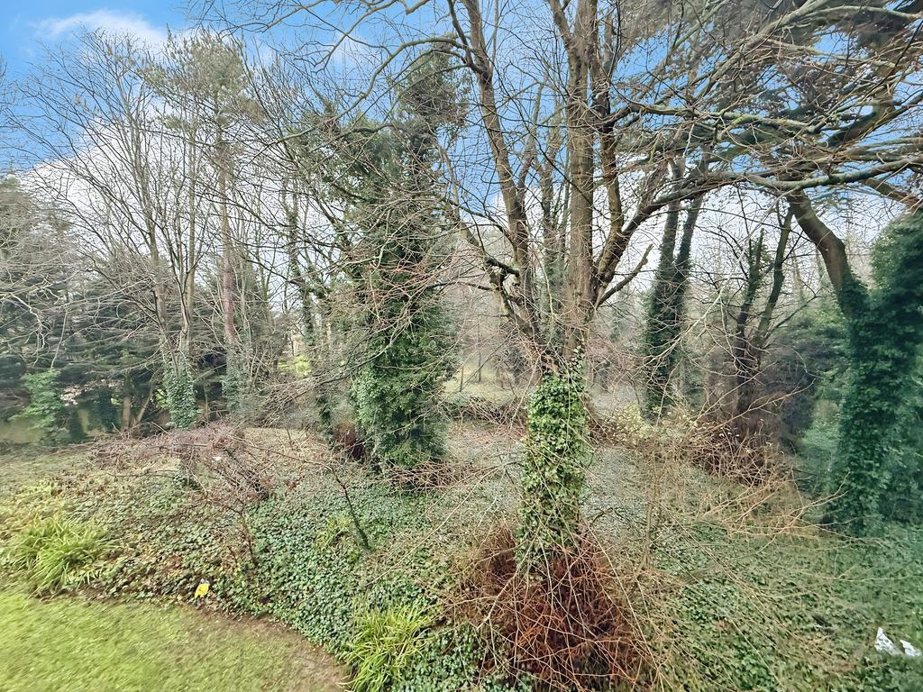 7 T202512221354.jpeg