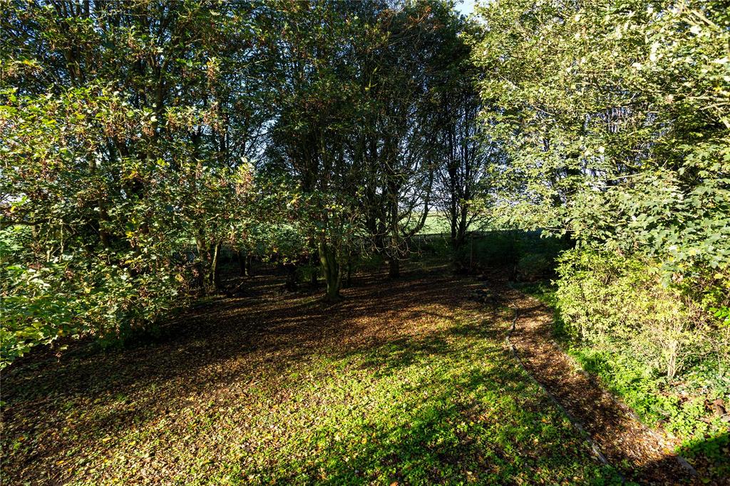 Woodland