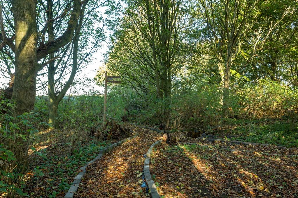 Woodland