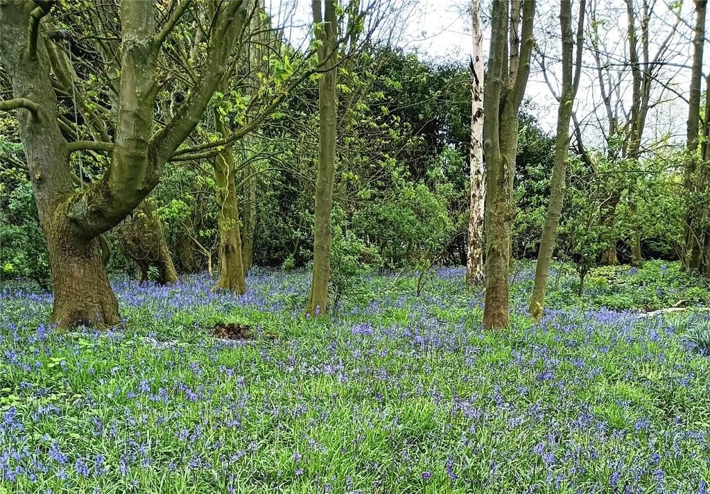 Woodland