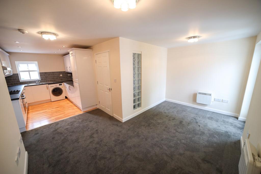 Kitchen/Living Area