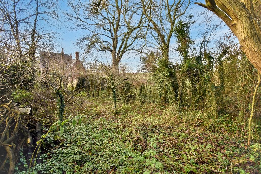 Extra garden land